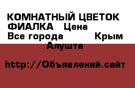 КОМНАТНЫЙ ЦВЕТОК -ФИАЛКА › Цена ­ 1 500 - Все города  »    . Крым,Алушта